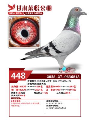 ���ô������448��