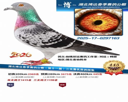 2026�격�ﴺ������445��