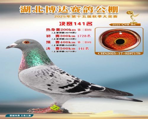 2025�격�����141��