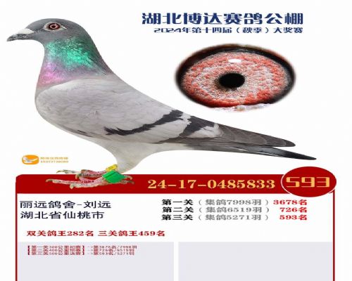 2024�격�����593��