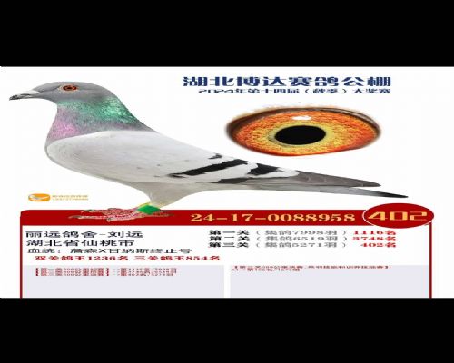 2024�격�����402��