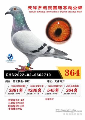 2022����364