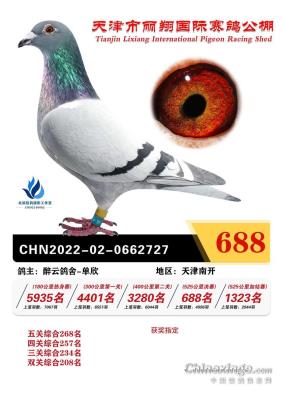 2022����668