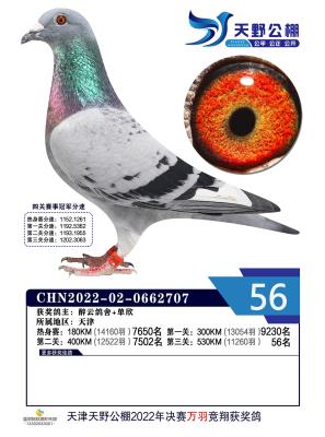 2022��Ұ56