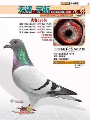 2024�329