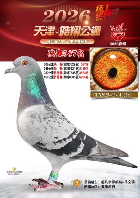 2026���587