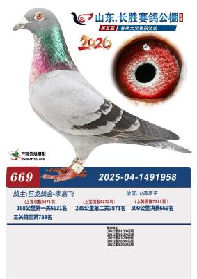 2026�괺������ϵ