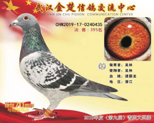 ���ָ���31