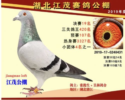 ���ָ���31