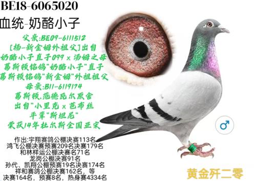 �ǳ��θ�ҵ