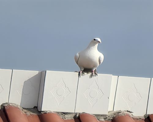 �ֹ�