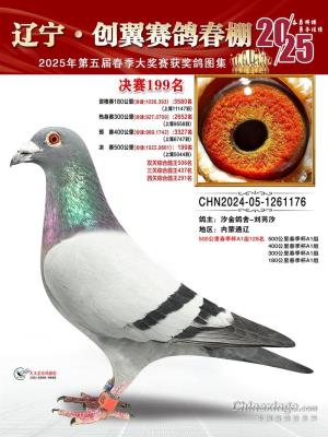 ��������199��