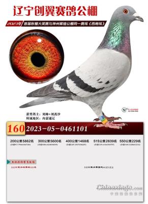 ����229��