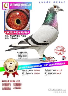 ���贺��548��