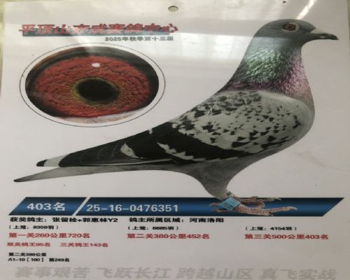 25������ɾ���403��