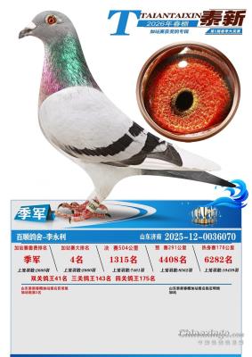 ����240��������