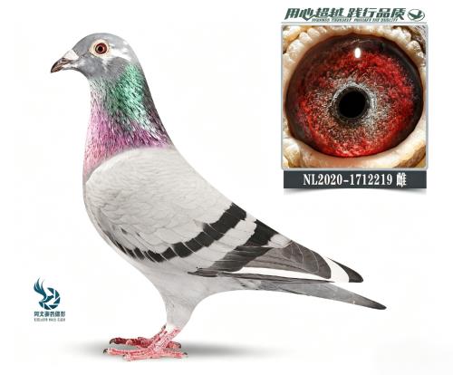 ���219