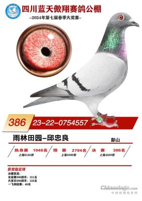 386��