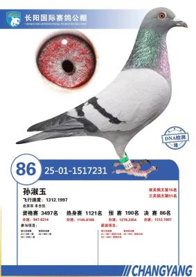 25�곤��˫�ظ���15��