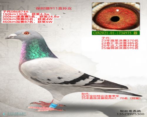 911ֱ��Ů