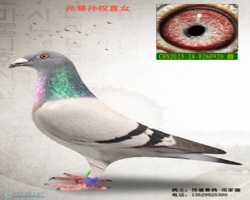 ��ȨֱŮ