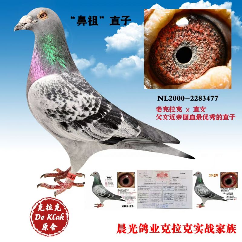 点击放大