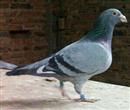 ����Ļ�飡������ںη�..�Ƿ�Ȼ����..�Ƿ���ú�