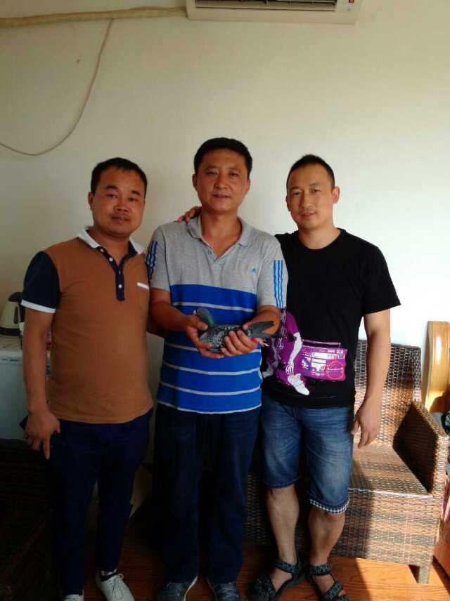 山西燕子翔坐落在中阳县城内,自幼酷爱养鸽,于2003年至今引进各大公棚