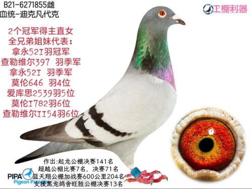 �ǳ��θ�ҵ
