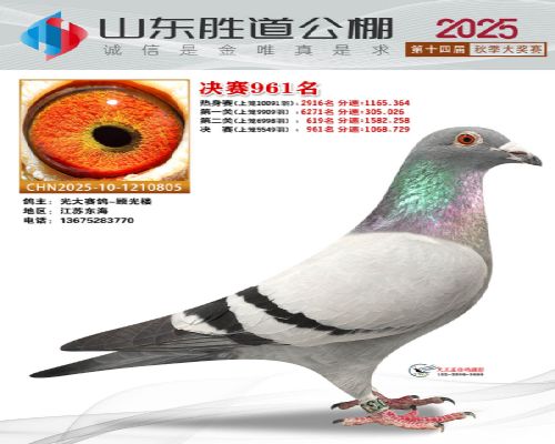 �������-�˹�¥