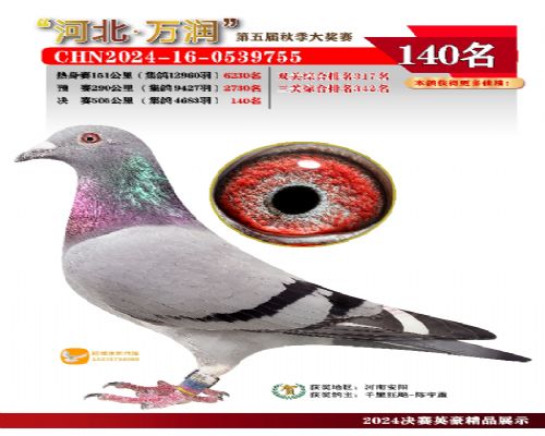 ǧ����0733