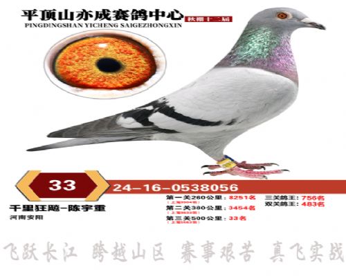 ǧ����0733