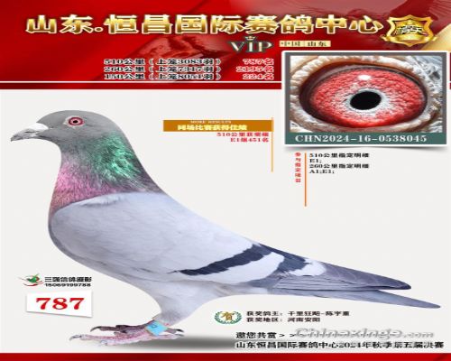 ǧ����0733