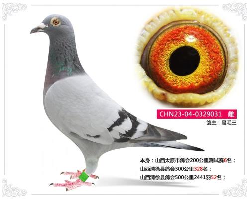 �������빫��