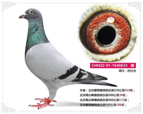 �������빫��
