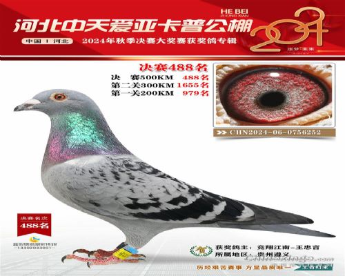 ���轭�ϸ���