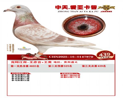 ���轭�ϸ���