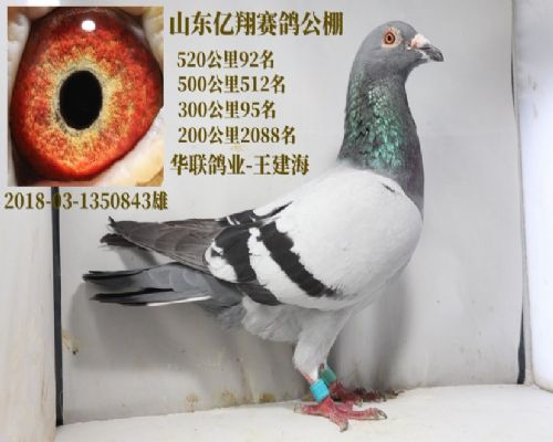 ����ǿ