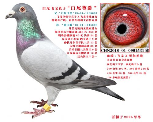 ʢ�˸�Է