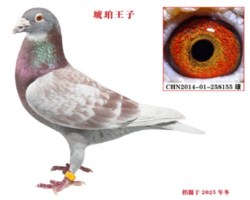 ʢ�˸�Է