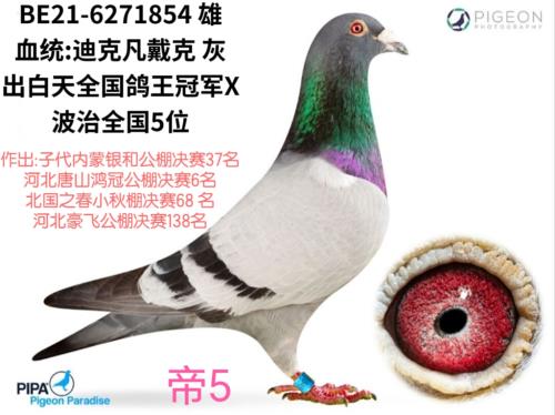 �ǳ��θ�ҵ