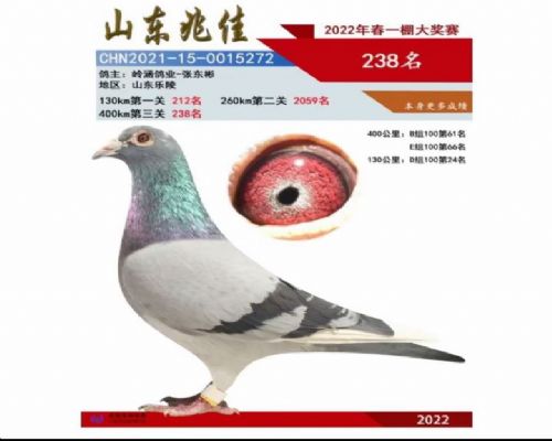 �뺭��ҵ��