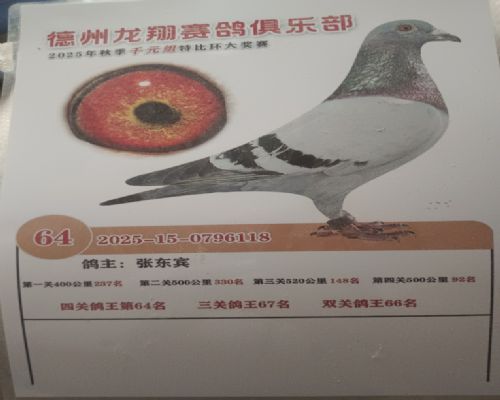 �뺭��ҵ��