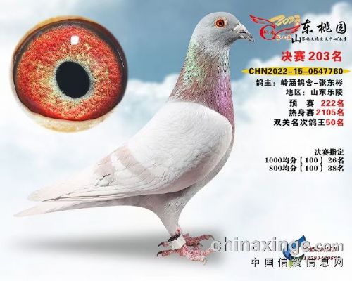 �뺭��ҵ��