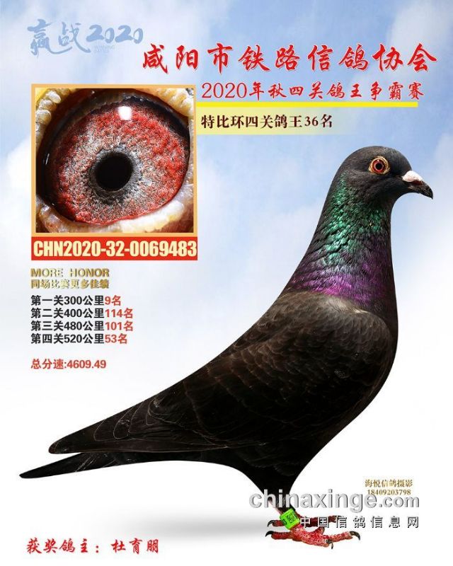 主要以,杨阿腾 胡本 考夫曼 凡代克 佛尔布文  皮特兰黑白花 血系